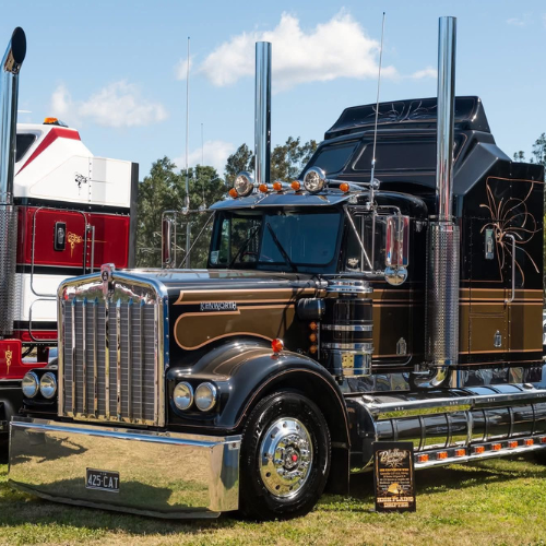 W Model / SAR Colorado Visor